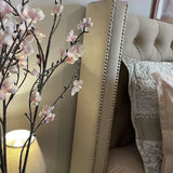 Lit Coffre Armony Beige - Confort, Élégance et Fonctionnalité