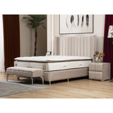 Lit Coffre Tokyo Beige - Design Chic et Branché