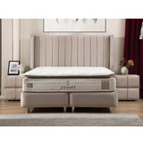 Lit Coffre Tokyo Beige - Design Chic et Branché