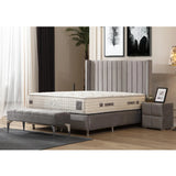 Lit Coffre Tokyo Gris - Design Chic et Branché