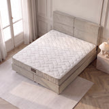 Pack Sydney – lit coffre en velours beige anti-tache avec matelas