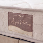 Pack Sydney – lit coffre en velours beige anti-tache avec matelas